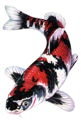 T4